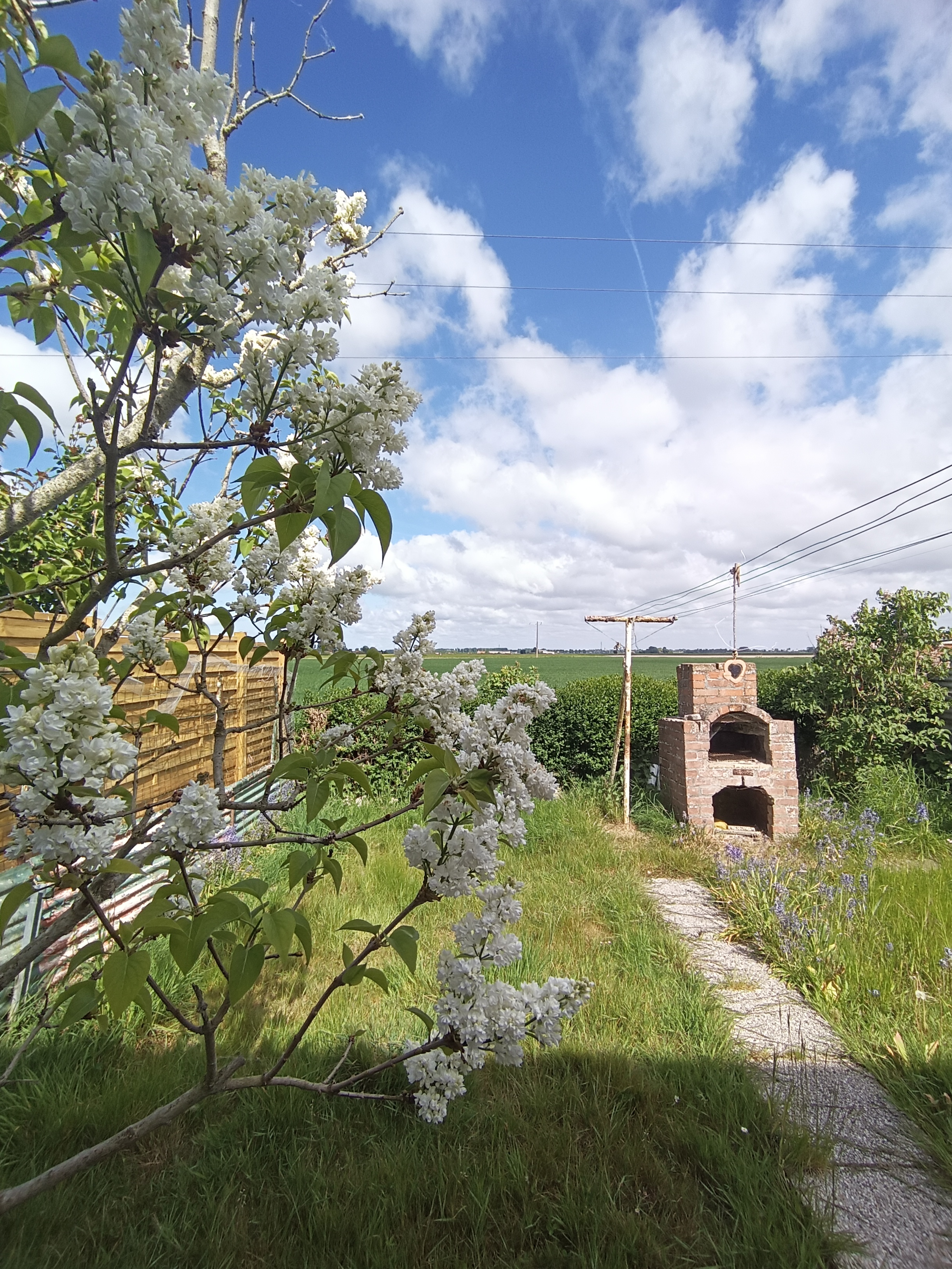 maison-type-t5-steene-1
