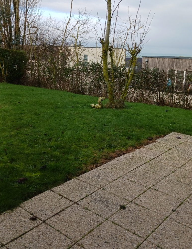 maison-semi-mitoyenne-2-chambres-4