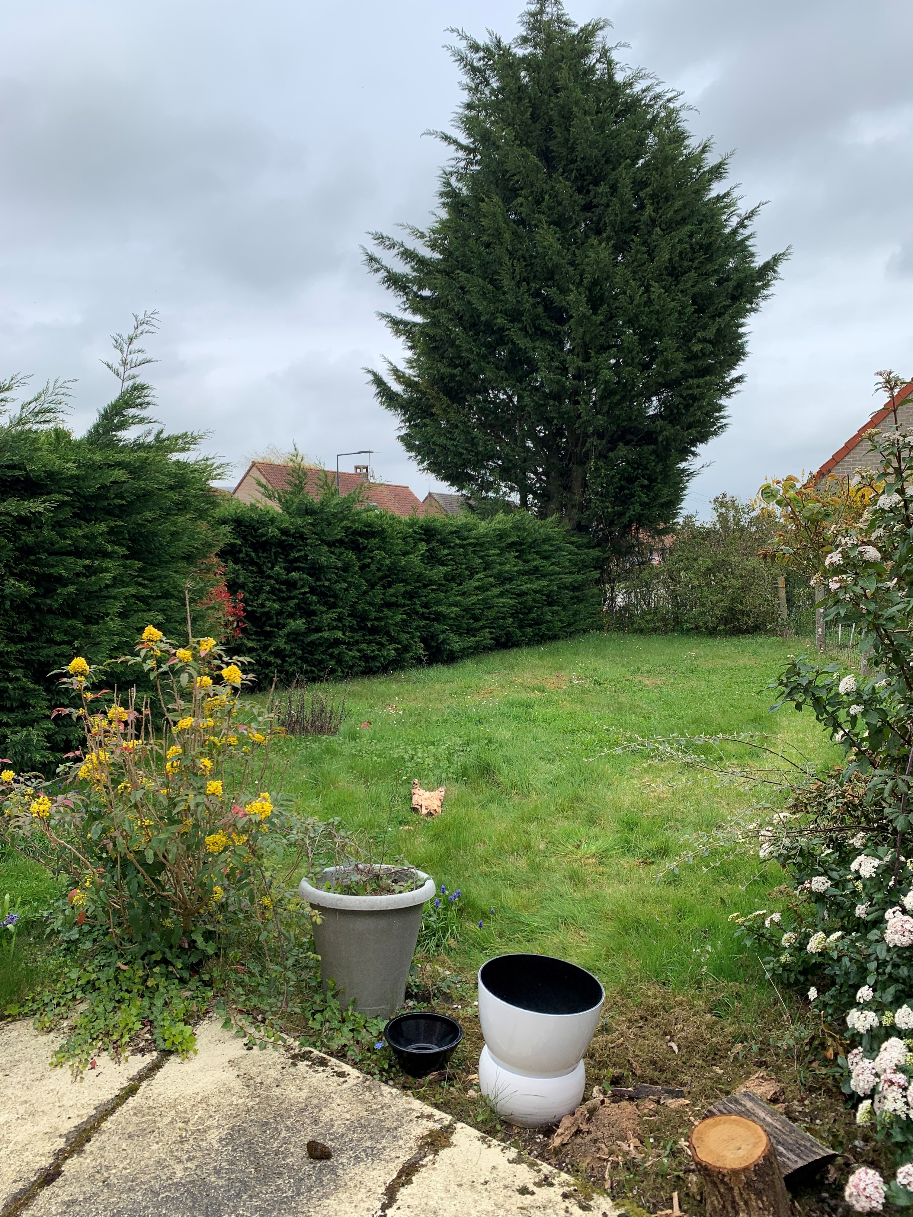 maison-t2-wormhout-2