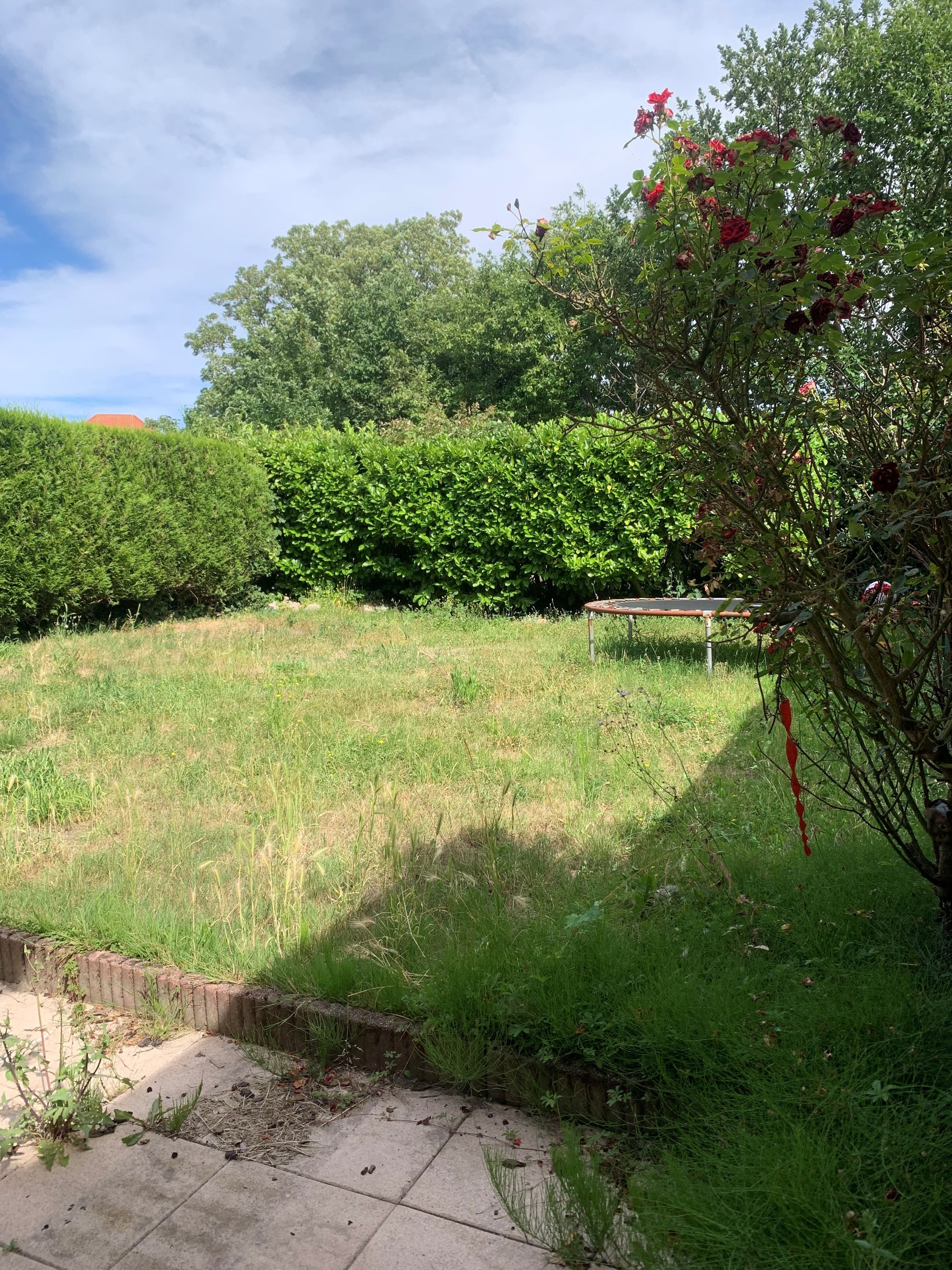 maison-de-type-4-a-coudekerque-branche-5