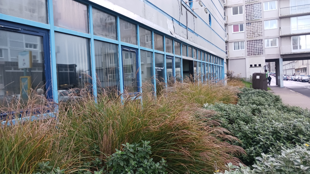 local-commercialprofessionnel-2