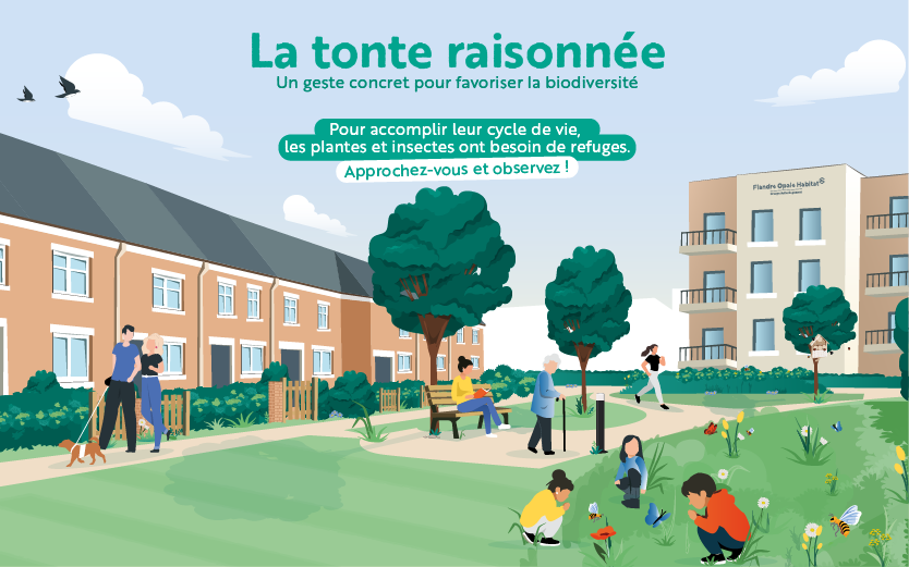 La tonte raisonnée : un geste concret pour favoriser la biodiversité